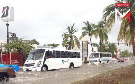 Reportan casa inundada en Salahua, árboles caídos y vehículos atascados por la lluvia